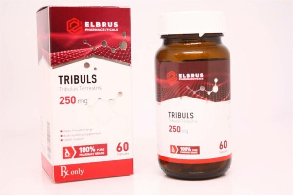 Tribuls (Tribulus Terrestris) (Elbrus Pharma) (60 Kapseln x 250mg) – Bild 2